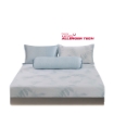 Picture of AKEMI TENCEL™ Lyocell HeiQ Allergen Serene Fitted Sheet Set | 1200TC - Malva (Super Single/Queen/ King)