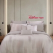 Picture of AKEMI TENCEL™ Lyocell HeiQ Allergen Serene Quilt Cover Set | 1200TC - Hucern (Super Single/Queen/ King)