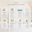 Picture of AKEMI EverSense III Series Reed Diffuser - Rosaceae (200ml)
