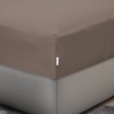 Picture of AKEMI Cotton Sateen Affinity Fitted Sheet Set | 100% Cotton - Shine 1200TC - Clayra Brown (Super Single/Queen/King)