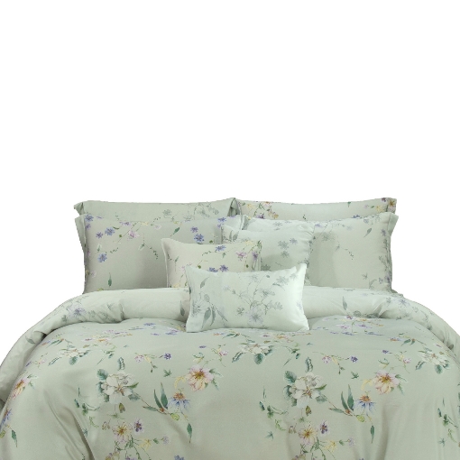 Picture of AKEMI TENCEL™ Lyocell Virtuous Quilt Cover Set | 1300TC - Sylvie (Super Single/Queen/King/Super King)