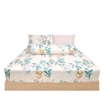 Picture of AKEMI Cotton Essentials Enclave Joy Fitted Sheet Set | 100% Cotton 650TC - Charleigh (Super Single/ Queen/ King)