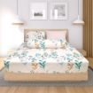 Picture of AKEMI Cotton Essentials Enclave Joy Fitted Sheet Set | 100% Cotton 650TC - Charleigh (Super Single/ Queen/ King)