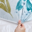 Picture of AKEMI Cotton Essentials Enclave Joy Fitted Sheet Set | 100% Cotton 650TC - Delilah (Super Single/ Queen/ King)