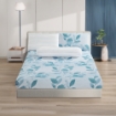 Picture of AKEMI Cotton Essentials Embrace Charm Fitted Sheet Set 600TC - Delfina (Super Single/ Queen/ King)