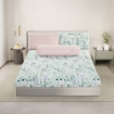 Picture of AKEMI Cotton Essentials Embrace Charm Fitted Sheet Set 600TC - Marisa (Super Single/ Queen/ King)