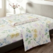 Picture of AKEMI Cotton Twill Adore Lightweight Comforter Set 850TC - Brantley (Queen/ King)