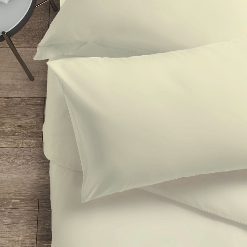 Picture of AKEMI Cotton Essentials Colour Home Divine Pillow Case 600TC - Eggshell White (2pc)