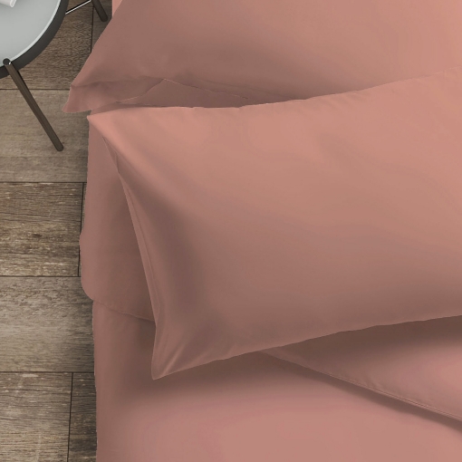 Picture of AKEMI Cotton Essentials Colour Home Divine Pillow Case 600TC - Saffron Coral (2pc)