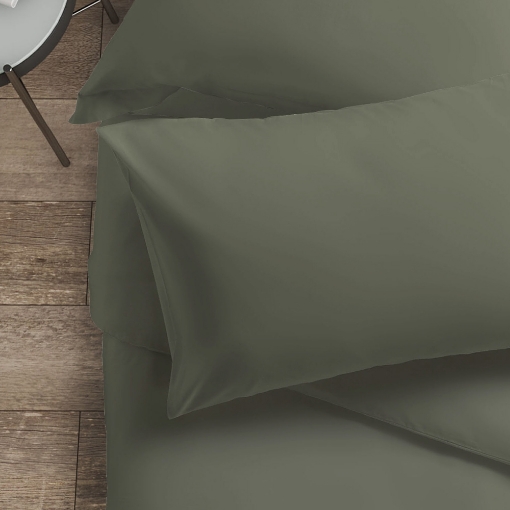 Picture of AKEMI Cotton Essentials Colour Home Divine Pillow Case 600TC - Seagrass Green (2pc)