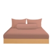 Picture of AKEMI Cotton Essentials Colour Home Divine Fitted Sheet Set 600TC - Saffron Coral (Super Single/Queen)