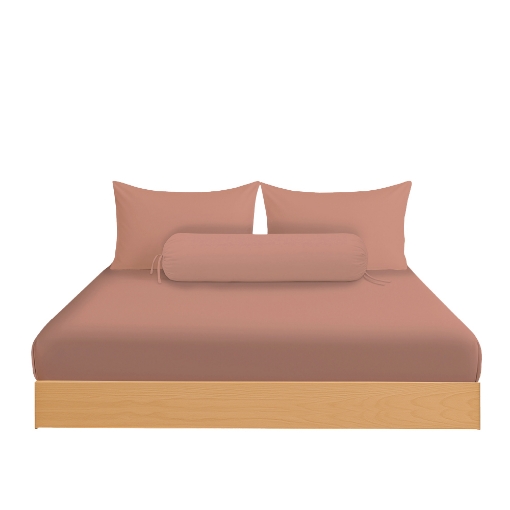 Picture of AKEMI Cotton Essentials Colour Home Divine Fitted Sheet Set 600TC - Saffron Coral (Super Single/Queen)