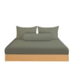 Picture of AKEMI Cotton Essentials Colour Home Divine Fitted Sheet Set 600TC - Seagrass Green (Super Single/Queen)