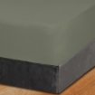Picture of AKEMI Cotton Essentials Colour Home Divine Fitted Sheet Set 600TC - Seagrass Green (Super Single/Queen)