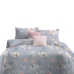 Picture of ai by AKEMI Cheery Collection Comforter Set 650TC (Super Single/Queen/King) - Espera