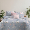 Picture of ai by AKEMI Cheery Collection Comforter Set 650TC (Super Single/Queen/King) - Espera