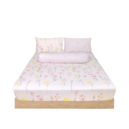 Picture of AKEMI Cotton Essentials Enclave Joy Fitted Sheet Set | 100% Cotton 650TC - Aadya (Super Single/ Queen/ King)