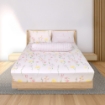 Picture of AKEMI Cotton Essentials Enclave Joy Fitted Sheet Set | 100% Cotton 650TC - Aadya (Super Single/ Queen/ King)