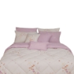 Picture of AKEMI Cotton Essentials Enclave Joy Comforter Set | 100% Cotton 650TC - Medora (Super Single/ Queen/ King)