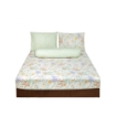 Picture of AKEMI Cotton Essentials Embrace Charm Fitted Sheet Set 600TC - Aleida (Super Single/ Queen/ King)