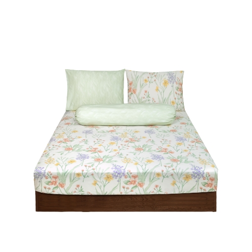 Picture of AKEMI Cotton Essentials Embrace Charm Fitted Sheet Set 600TC - Aleida (Super Single/ Queen/ King)