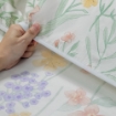 Picture of AKEMI Cotton Essentials Embrace Charm Fitted Sheet Set 600TC - Aleida (Super Single/ Queen/ King)