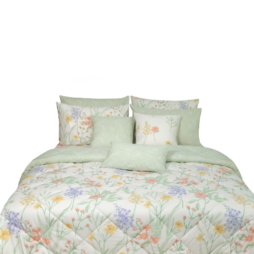 Picture of AKEMI Cotton Essentials Embrace Charm Comforter Set 600TC - Aleida (Super Single/ Queen/ King)