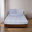 Picture of AKEMI Cotton Essentials Embrace Charm Fitted Sheet Set 600TC - Cheyenn (Super Single/ Queen/ King)