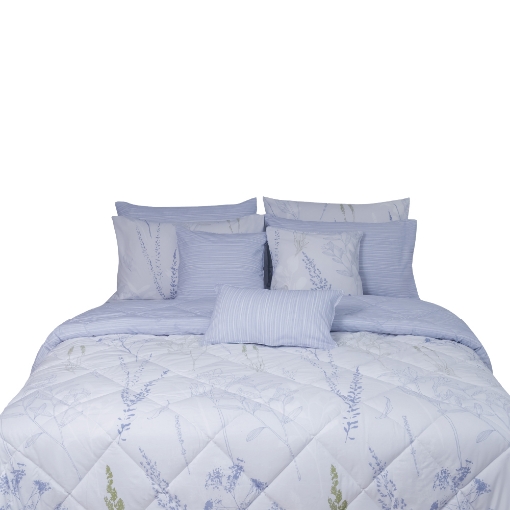 Picture of AKEMI Cotton Essentials Embrace Charm Comforter Set 600TC - Cheyenn (Super Single/ Queen/ King)