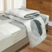 Picture of AKEMI Cotton Essentials Embrace Charm Comforter Set 600TC - Zaire (Super Single/ Queen/ King)