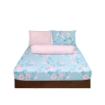 Picture of AKEMI Cotton Essentials Embrace Charm Fitted Sheet Set 600TC - Ayaka (Super Single/ Queen/ King)