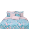 Picture of AKEMI Cotton Essentials Embrace Charm Comforter Set 600TC - Ayaka (Super Single/ Queen/ King)