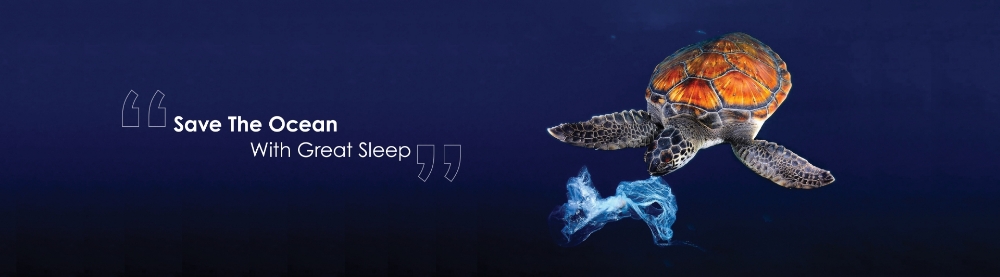Introducing Seaqual
